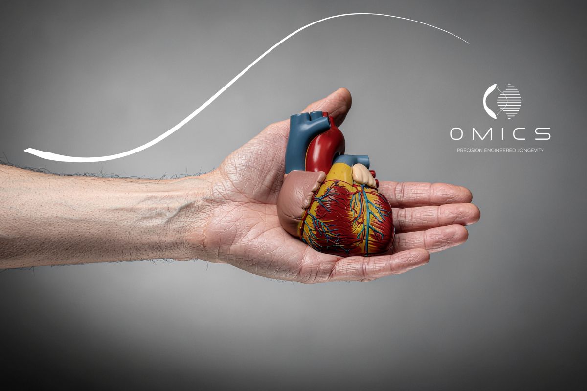 EPA y DHA: por qué no todos los omega-3 son iguales