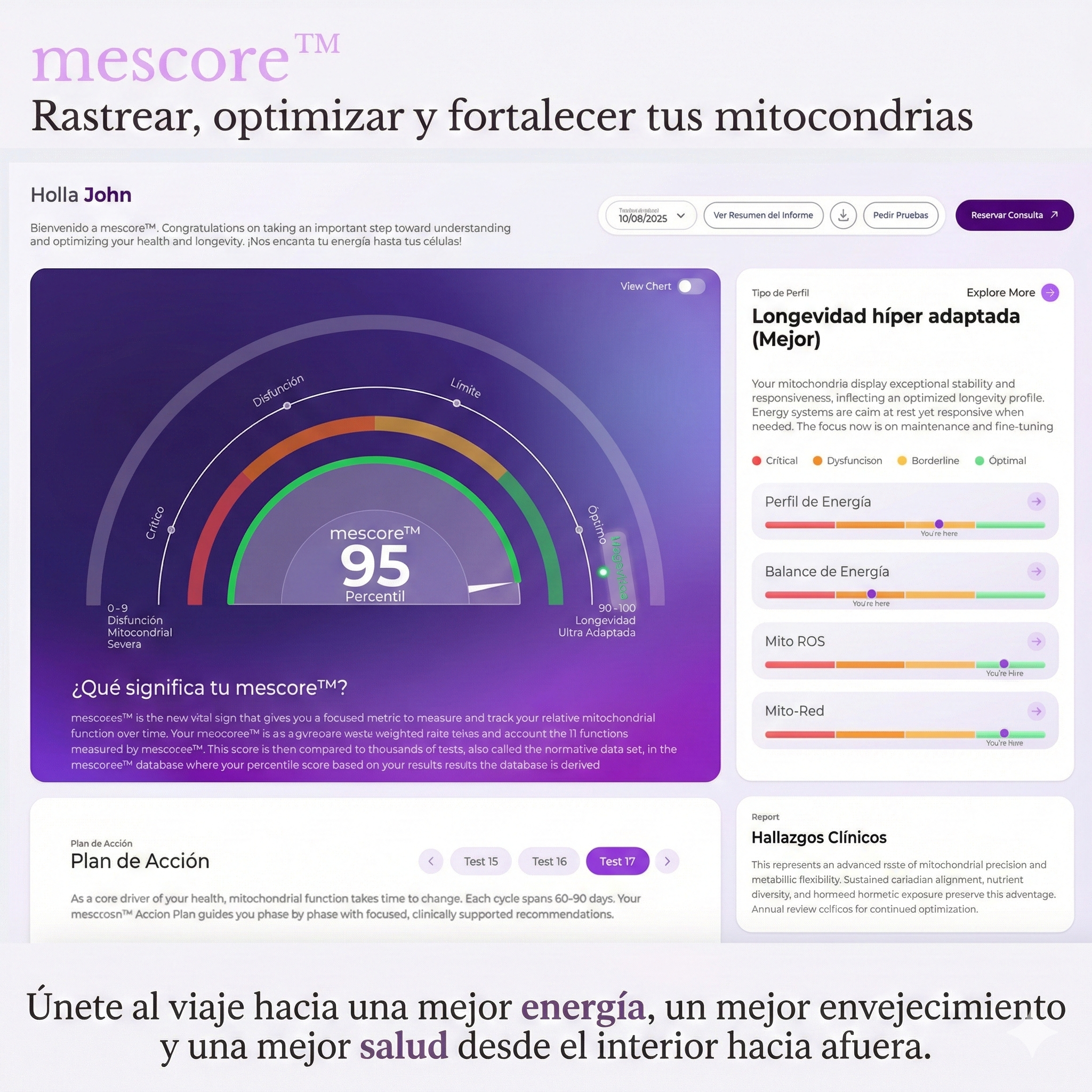 Mescreen™ Mitochondrial Function Test + Healthcare Provider Consult
