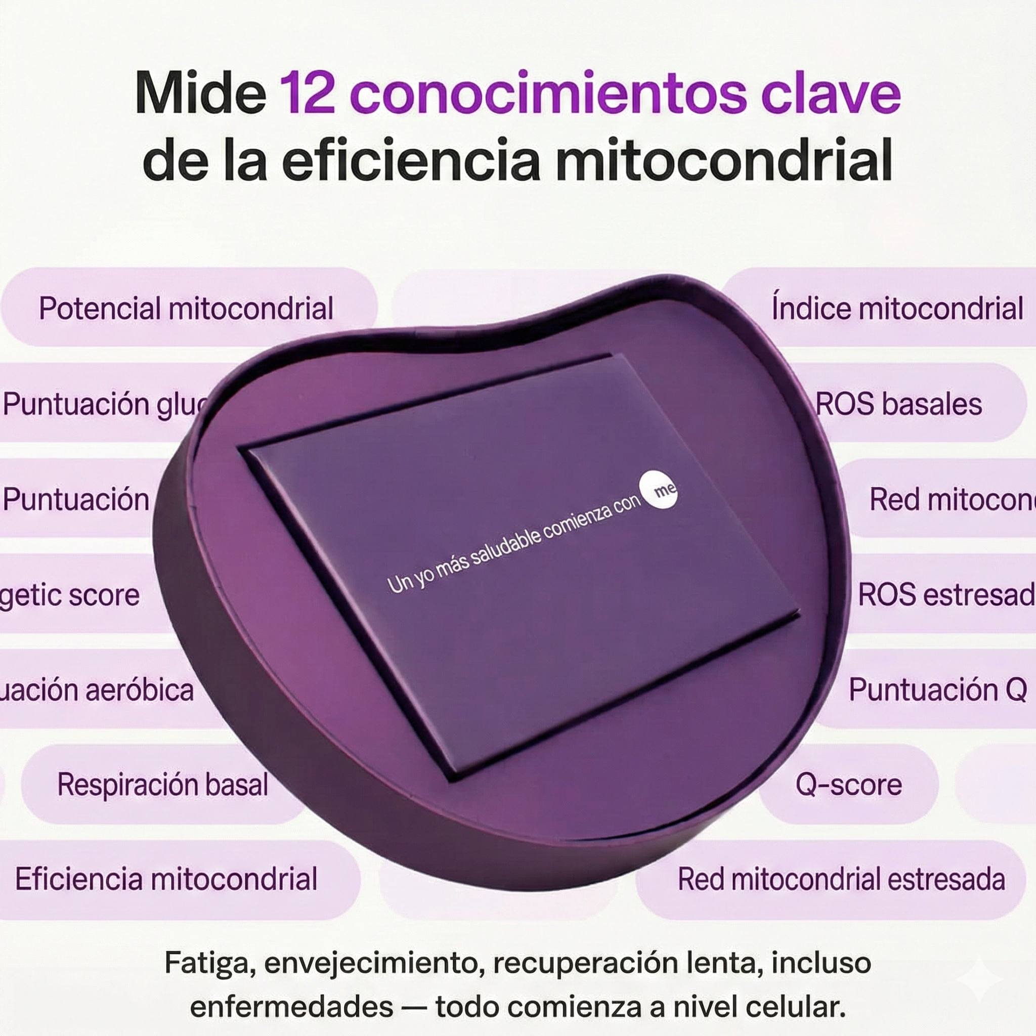 Mescreen™ Mitochondrial Function Test + Healthcare Provider Consult