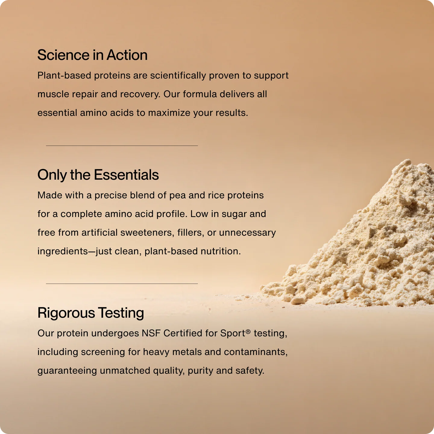 Plant Protein Powder Vainilla