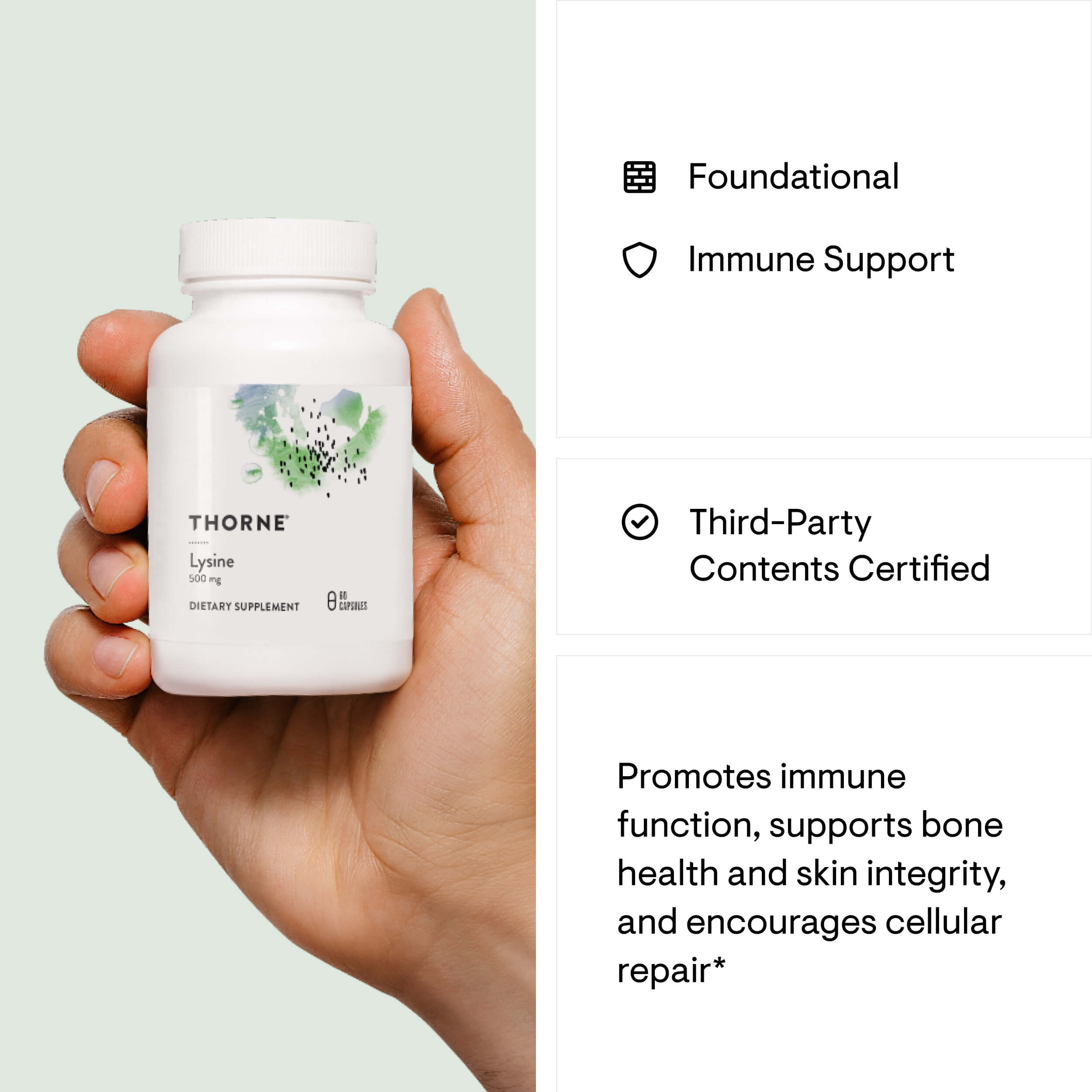 Thorne Lysine 500 MG