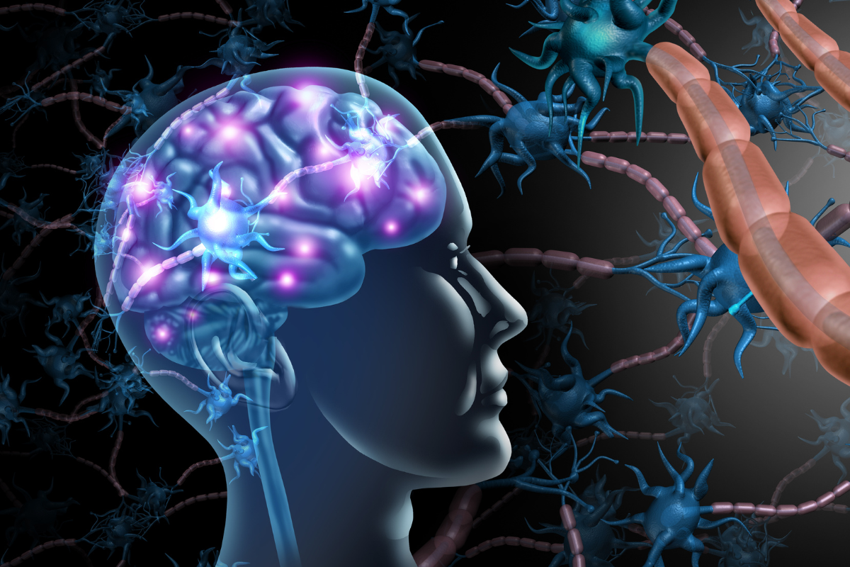 Microbioma humano: guía completa para entender tu “segundo cerebro”