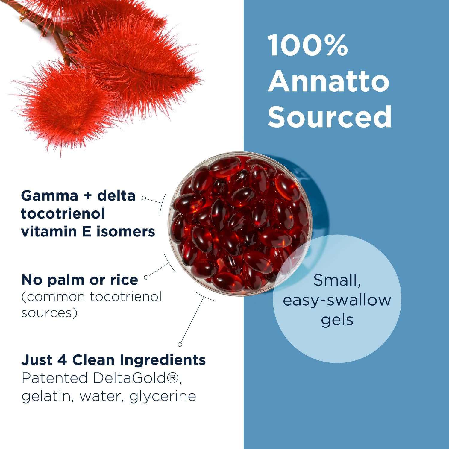 Annatto E 300 mg 60 softgels