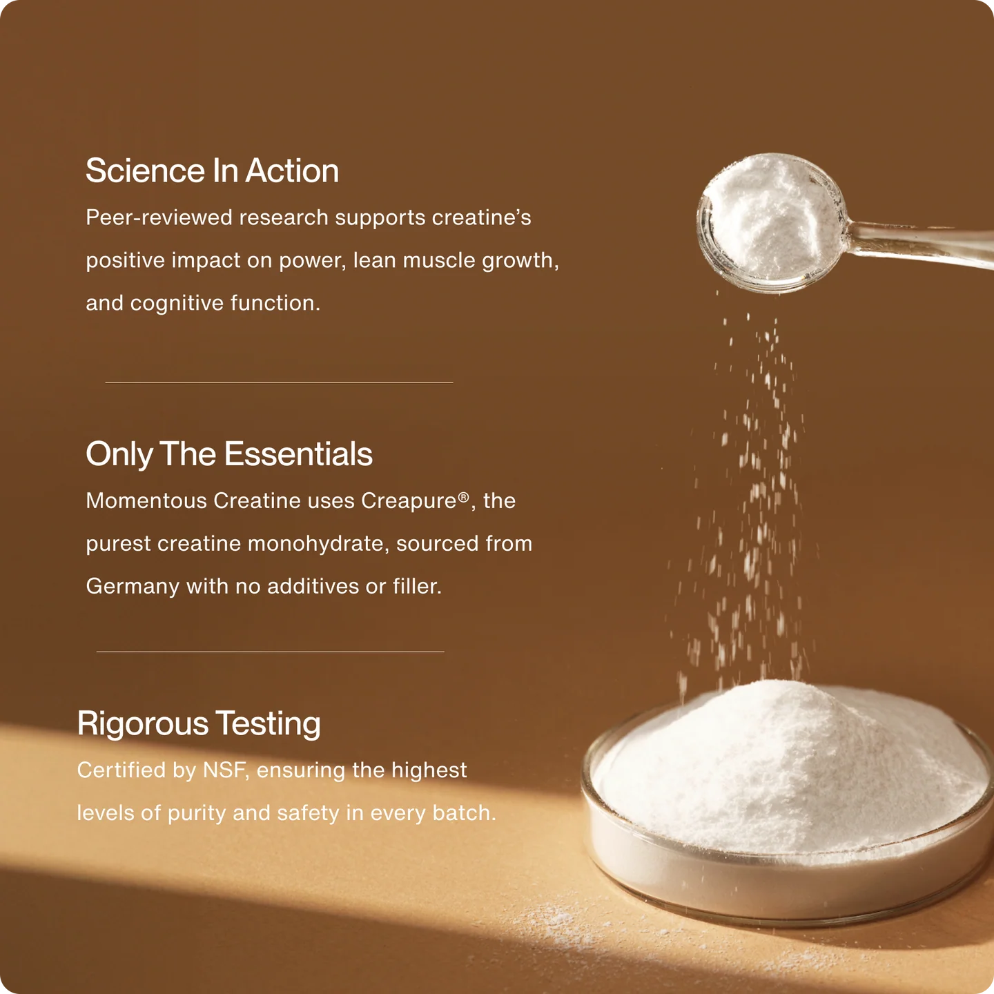 Momentous Creatine — Creapure Monohidrato 5 g · NSF Certified for Sport